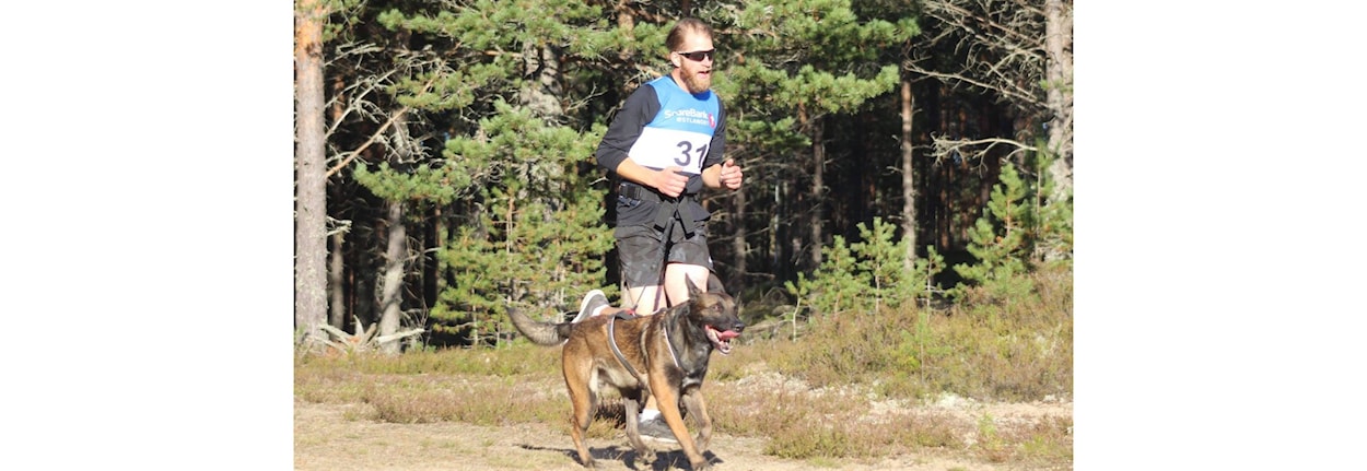 Minikurs i trekktrening med hund - Tana